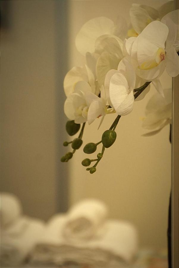 Apartamento Paula Valladolid Extérieur photo