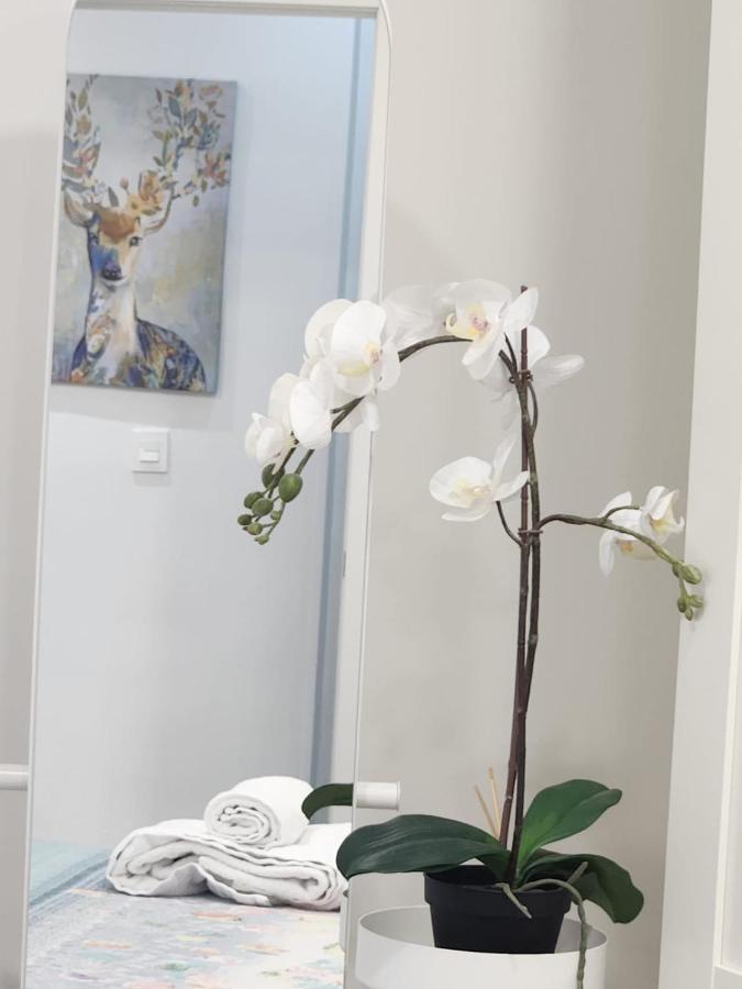 Apartamento Paula Valladolid Extérieur photo